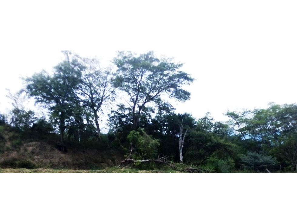 !!oportunidad¡¡ Lote en Sopetran unidad cerrada — foto 4