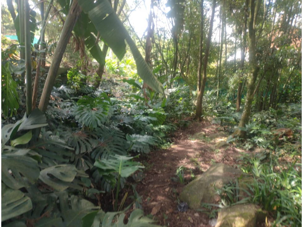Lote Poblado Cola del Zorro- facil acceso a palmas — foto 4