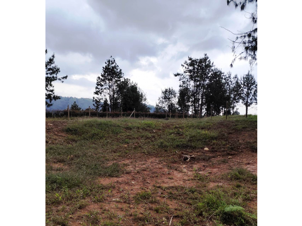 lote con escrituras en Guarne a 500 metros de la autopista MED-BOG