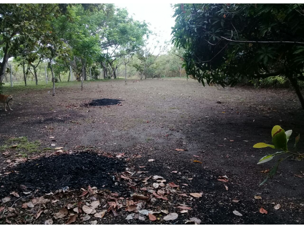 lote a pocos metros de la Playa Punta Barco-Pamana