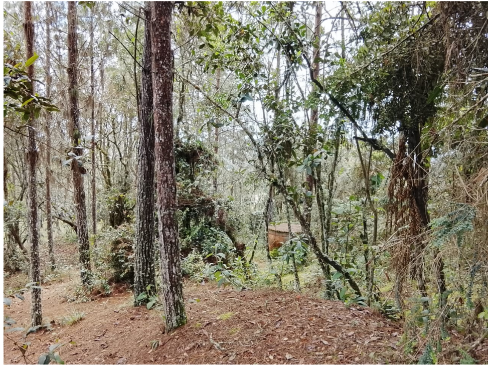 Vende Lote reservado con excelente acceso-La Palma-Santa elena