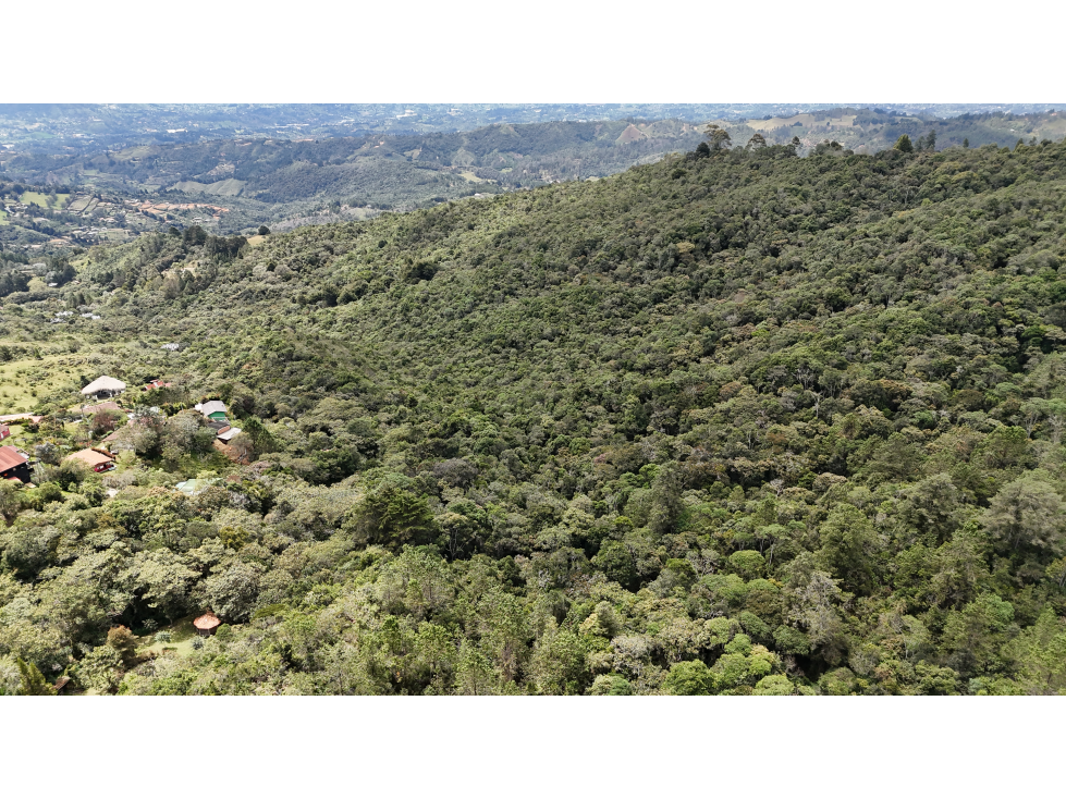 Vende Lote Bosque nativo- Fuentes Hidricas-Santa elena