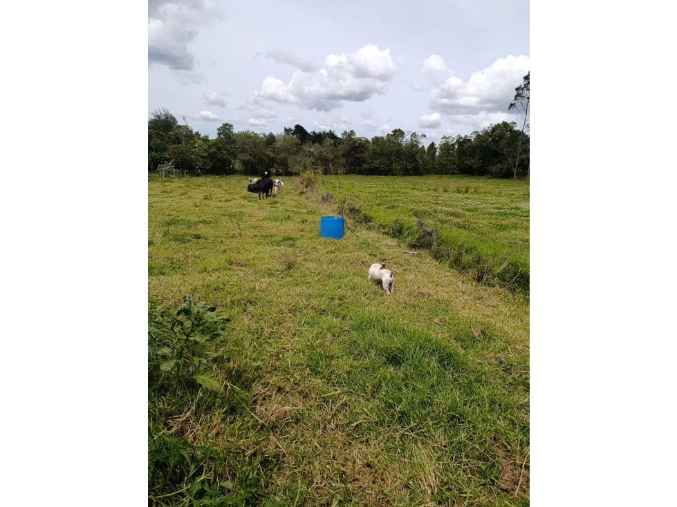 Venta Lote topografia Plana -El Plan-Sta elena