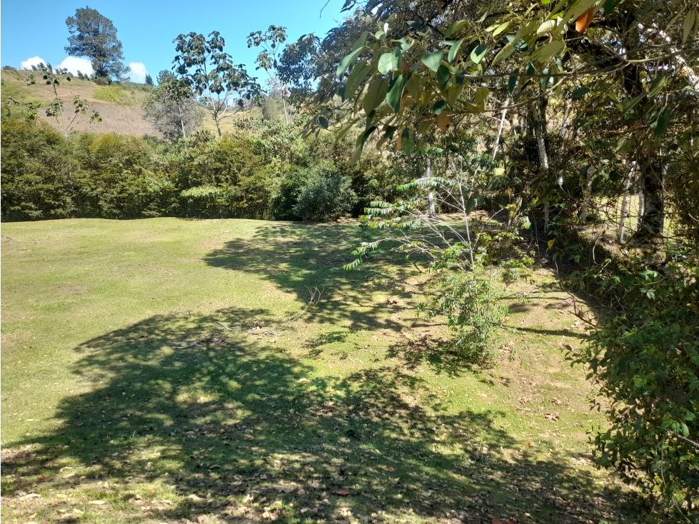 LOTE EN VENTA, LA CEJA, PARCELACIÓN MONTECARLO, vía Rionegro - Ceja - 4