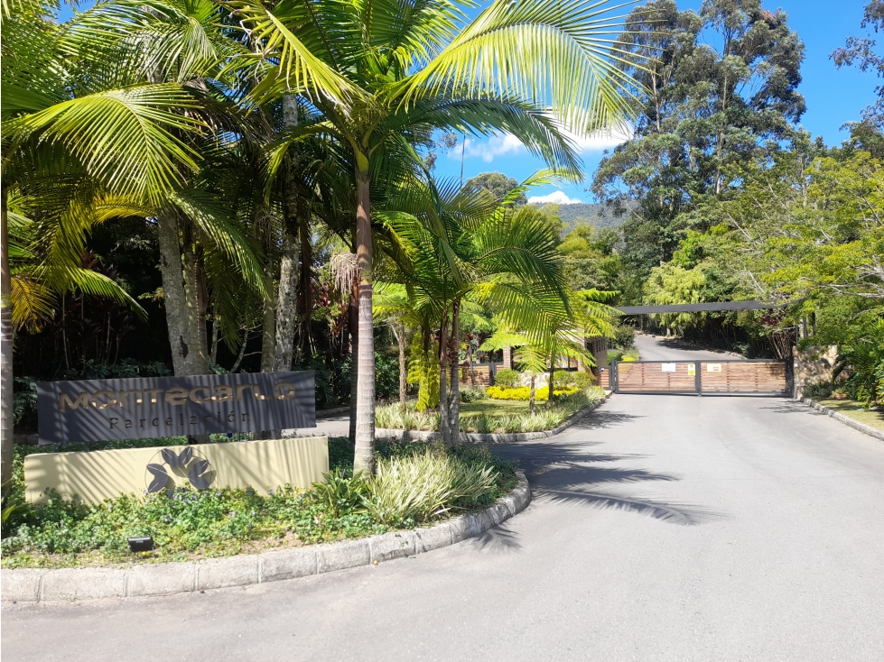 LOTE EN VENTA, LA CEJA, PARCELACIÓN MONTECARLO, vía Rionegro - Ceja - 6