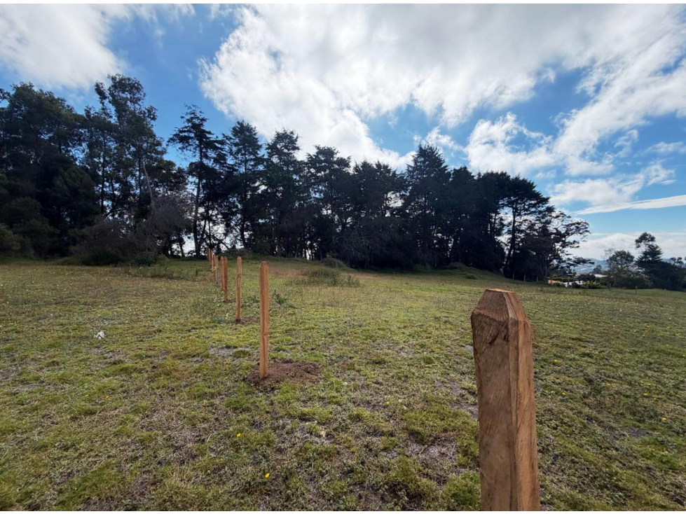 Vende Lote terreno plano Vereda perico- Santa elena — foto 6