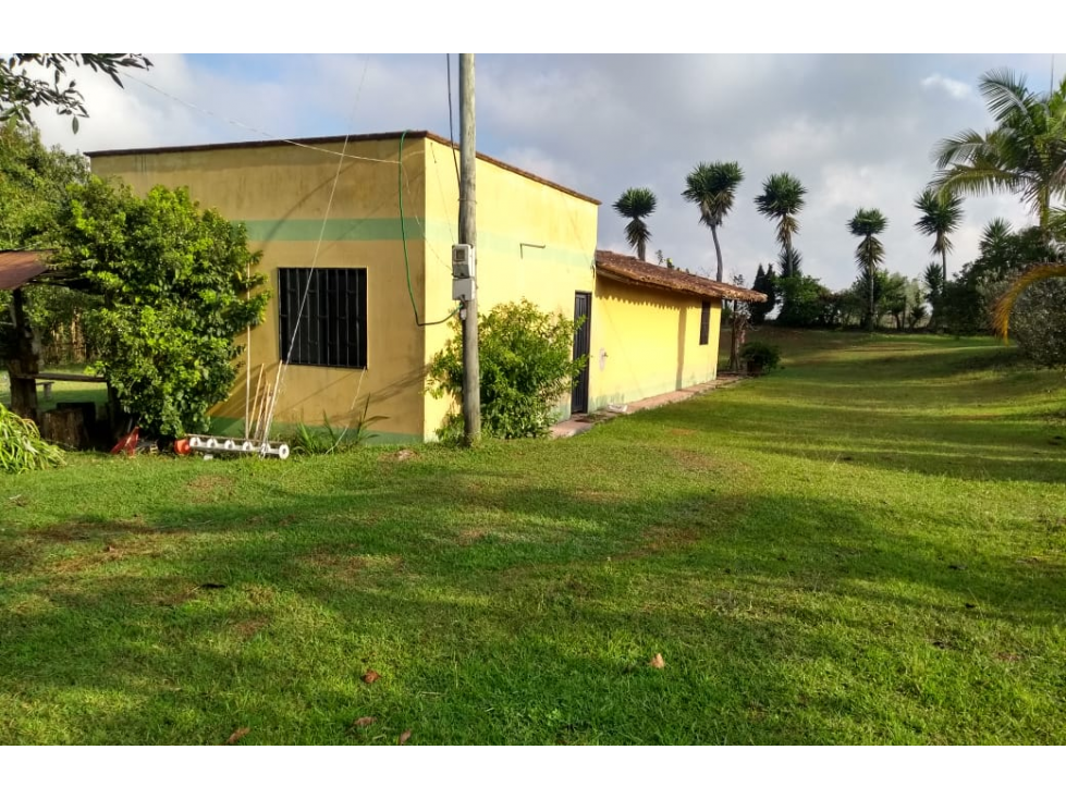 Finca Sub Urbana Vereda Alto del mercado-Marinilla - 2