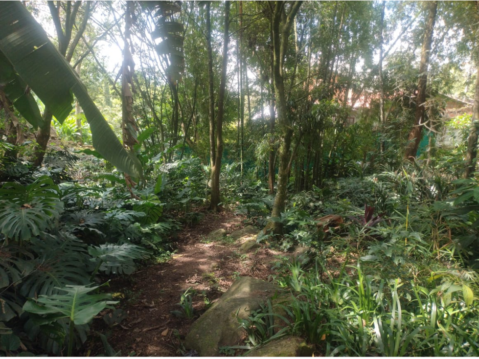 Lote Poblado Cola del Zorro- facil acceso a palmas — foto 5