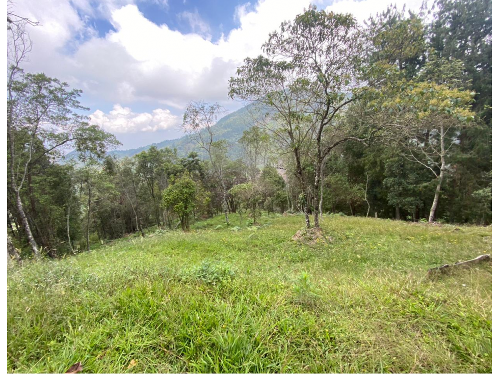 Lotes en parcelacion- La miel -Caldas - 1