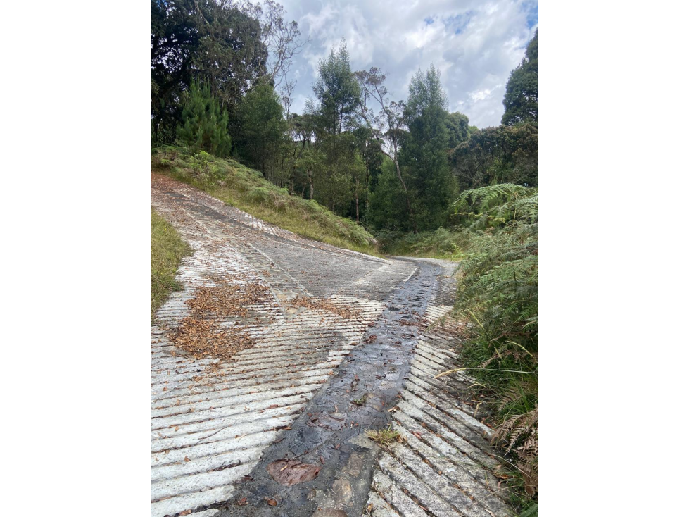 Lote con bosque nativo-matricula y licencia- El Plan -Sta Elena — foto 3