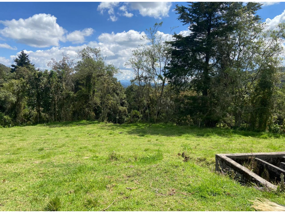 Lotes proindiviso con bosque y quebrada Perico-Santa Elena — foto 2