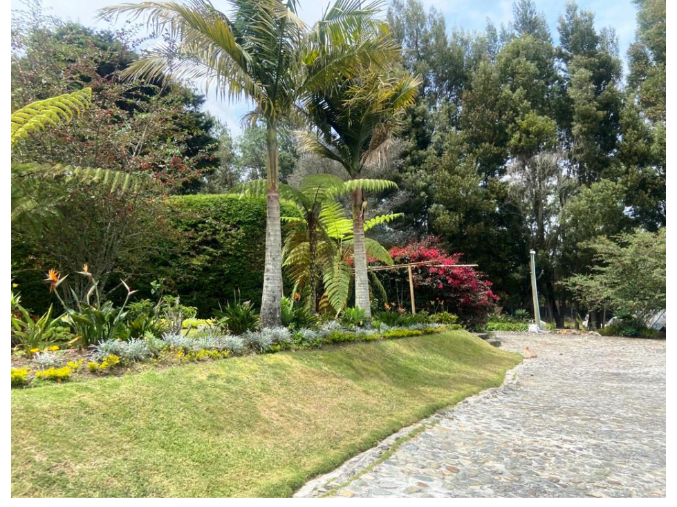 Vende- Finca Excelente ubicacion- Barro Blanco- Santa Elena — foto 3
