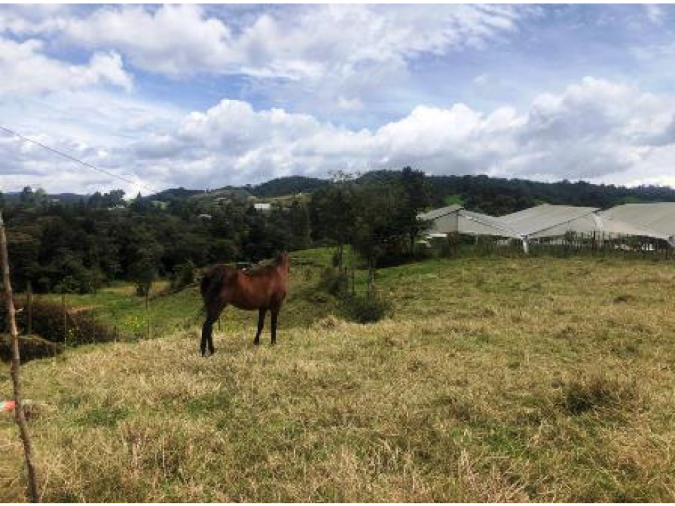 Lote en Proindiviso linda vista y acceso Pantanillo-Santa Elena — foto 4