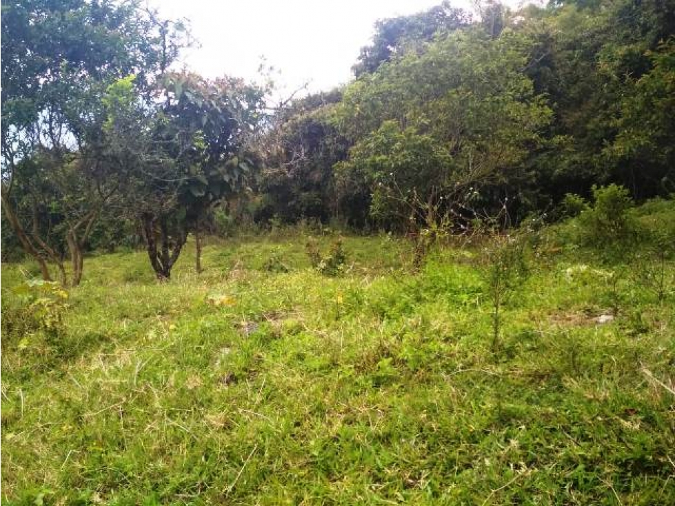 Lote posibilidad para 3 viviendas- Juan cojo Girardota — foto 3