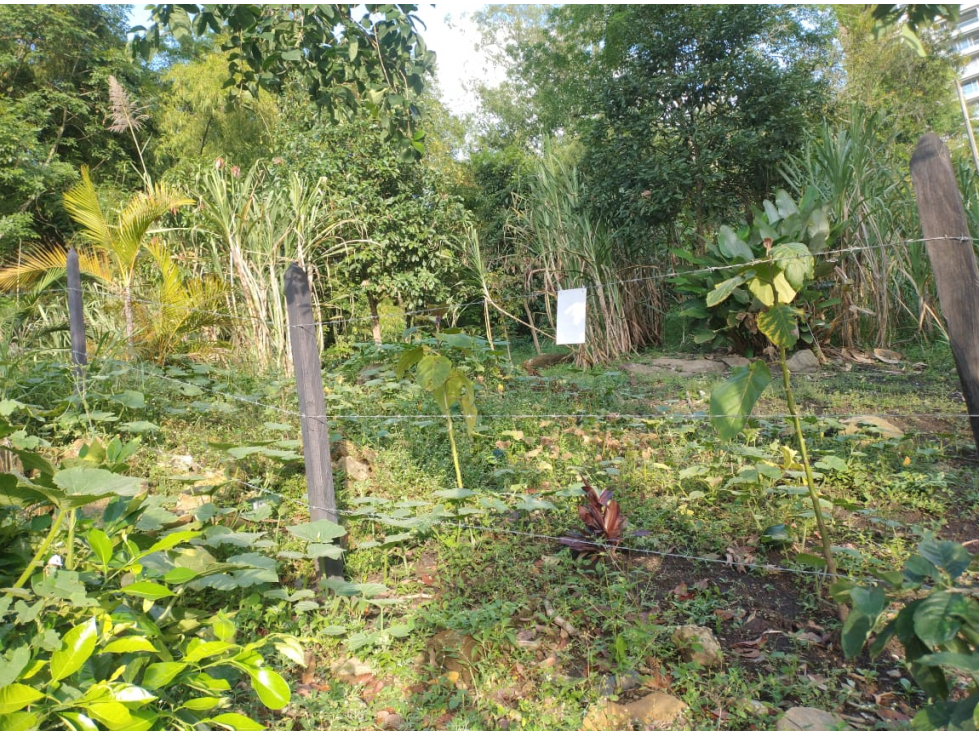 Lote Poblado Cola del Zorro- facil acceso a palmas — foto 6