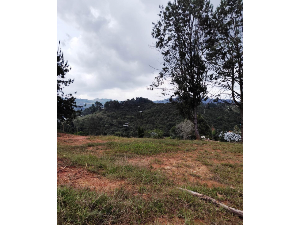 lote con escrituras en Guarne a 500 metros de la autopista MED-BOG — foto 3