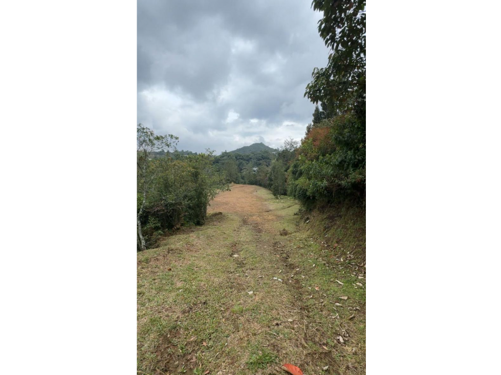 venta Lote en parcelación Don diego via La fe-Oriente Antioqueño — foto 3