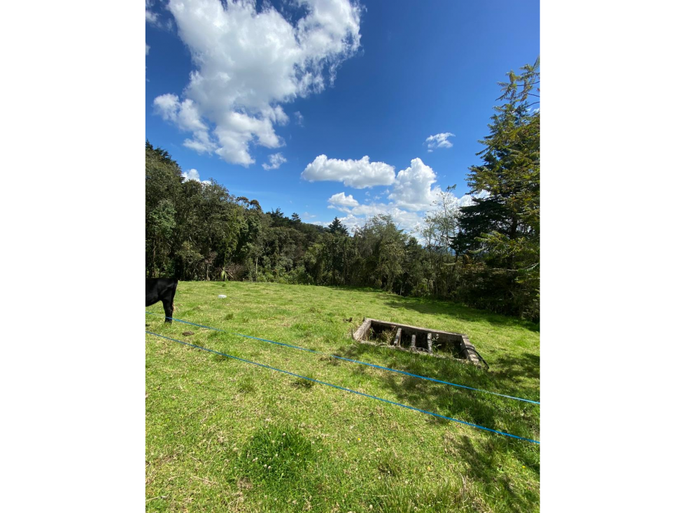 Lotes proindiviso con bosque y quebrada Perico-Santa Elena — foto 3