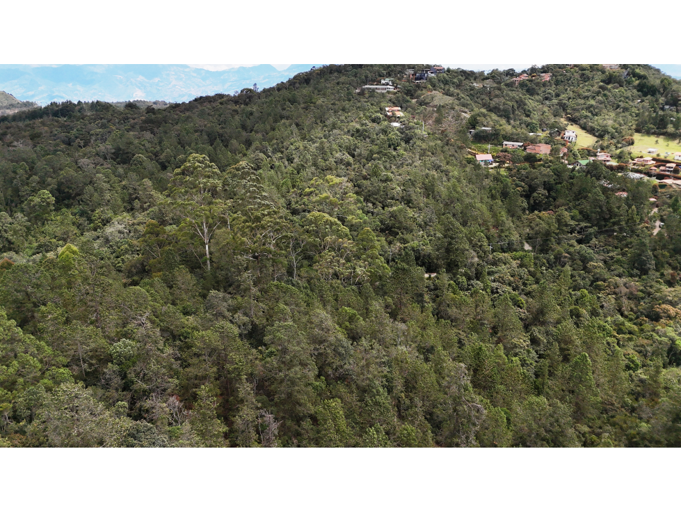 Vende Lote Bosque nativo- Fuentes Hidricas-Santa elena — foto 4