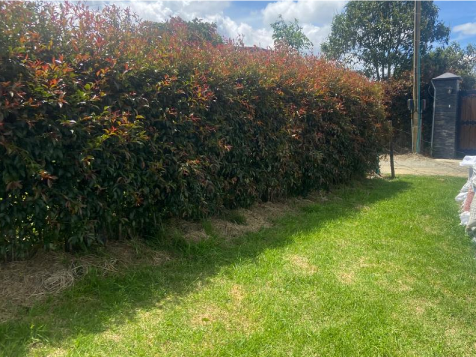 Lote topografia plana Santa Elena Vereda El Plan — foto 5