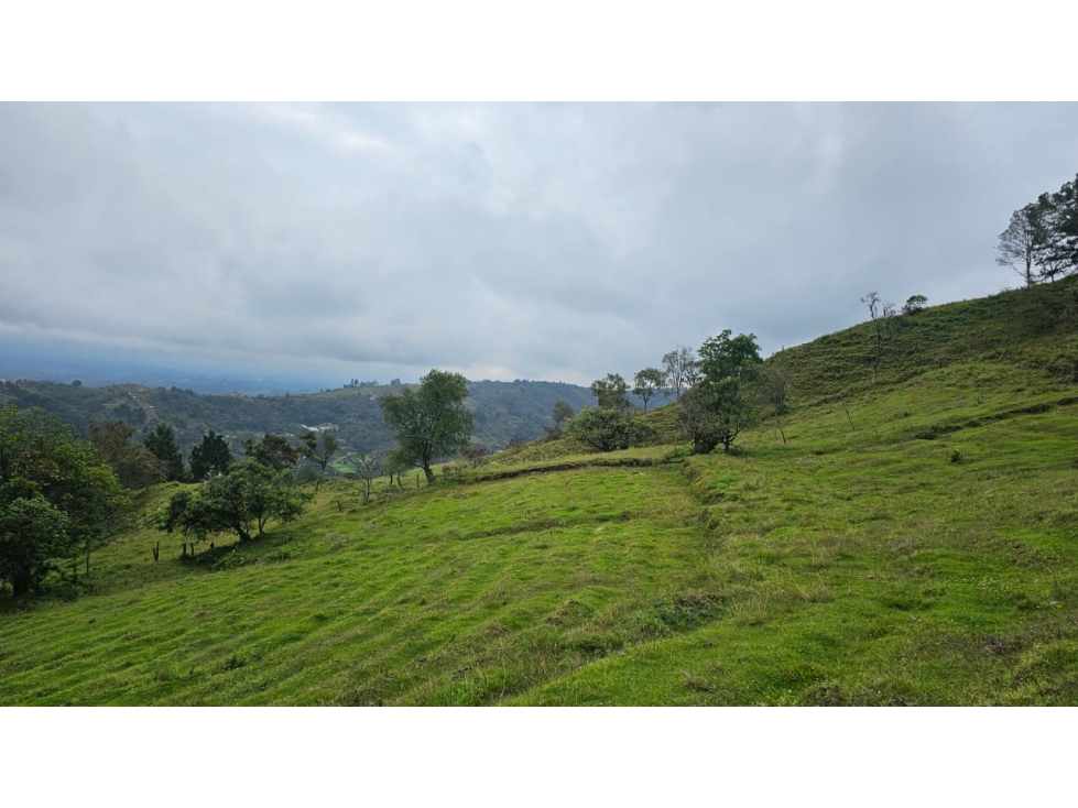 Lote semi plano en Parcelacion-La honda-Guarne — foto 4