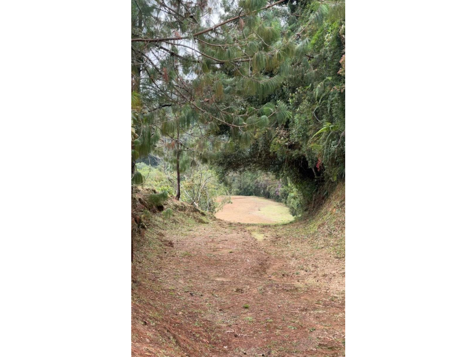 venta Lote en parcelación Don diego via La fe-Oriente Antioqueño — foto 4