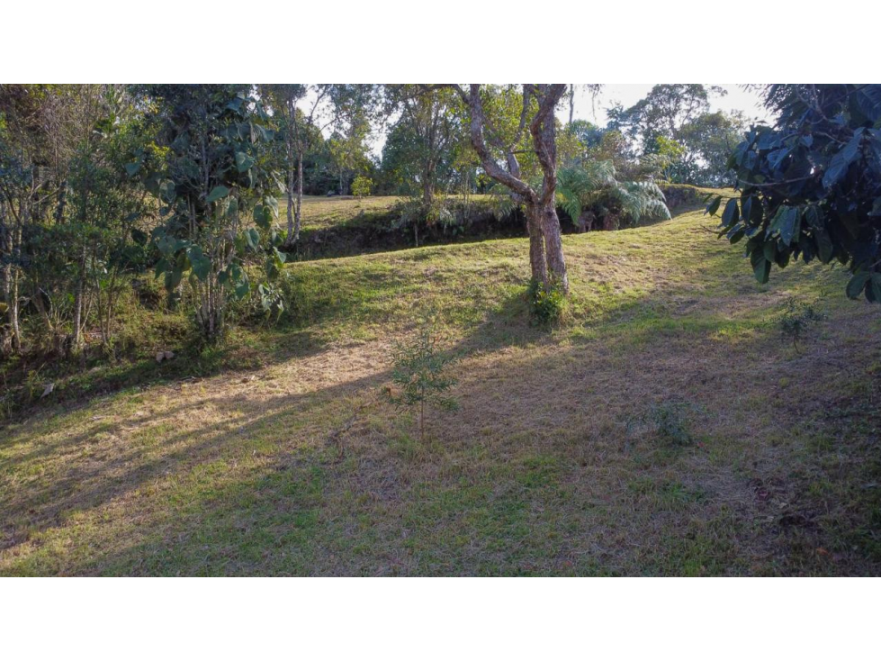 Vende Finca en medio del bosque El Placer-sta Elena — foto 5