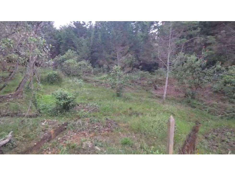 Vende lote en parcelacion- Piedras Blancas -Guarne — foto 4
