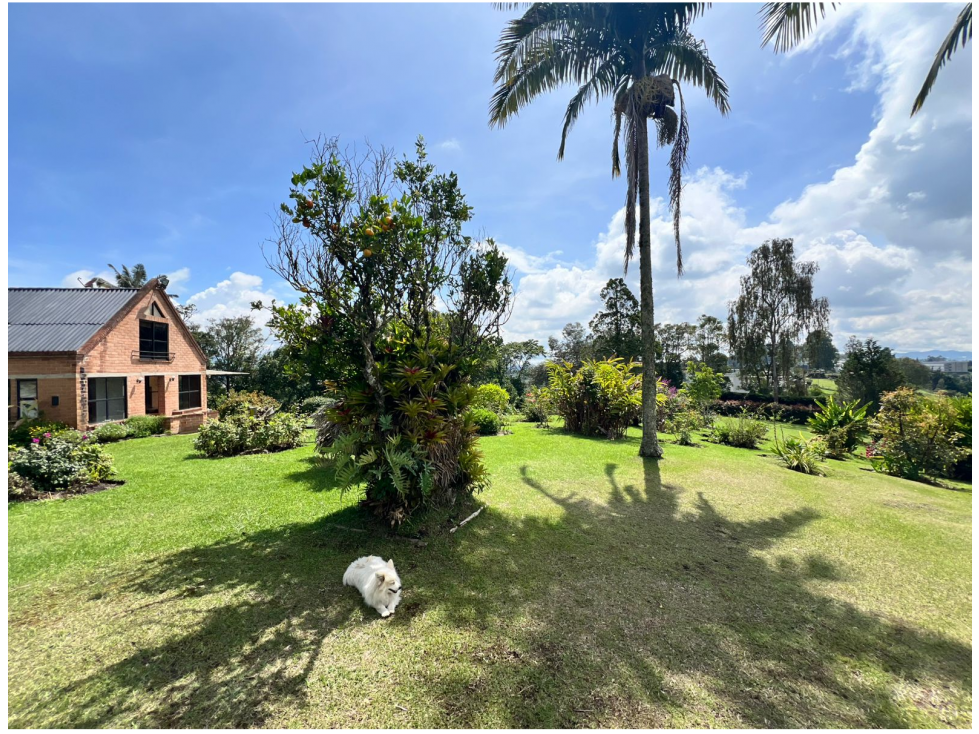 Vende Finca ubicada a 8 minutos del aeropuerto-La mosquita — foto 3