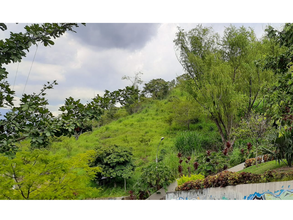 Lote para Nuevo proyecto de construccion -San javier — foto 5