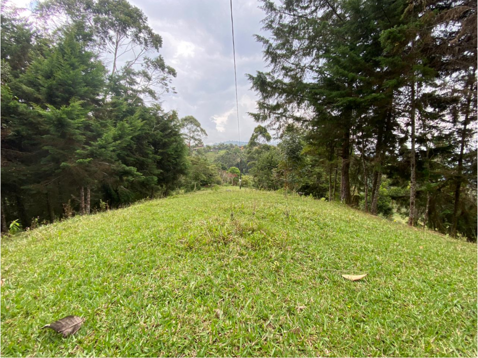 Lotes en parcelacion- La miel -Caldas - 5