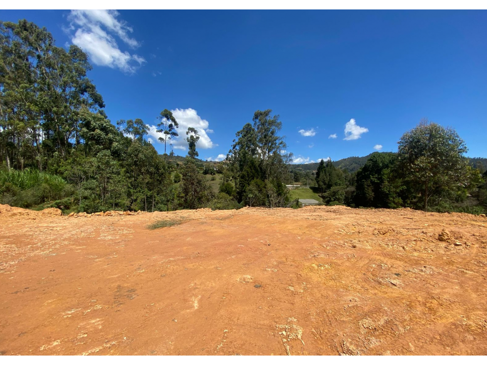 Lotes en parcelacion La Clara-Guarne — foto 5
