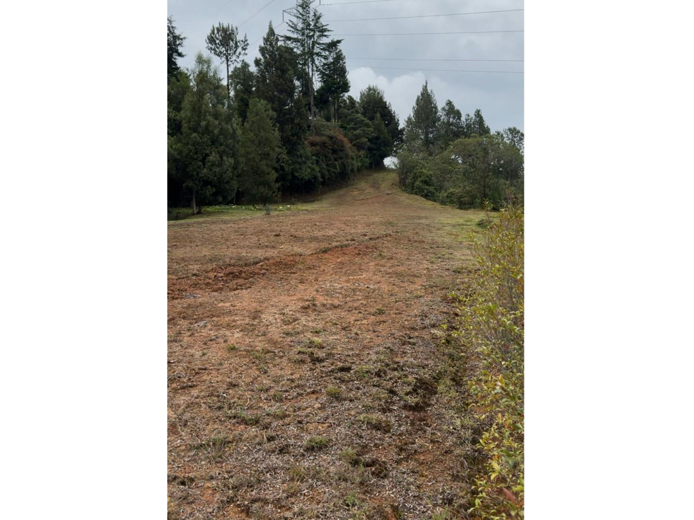 venta Lote en parcelación Don diego via La fe-Oriente Antioqueño — foto 5