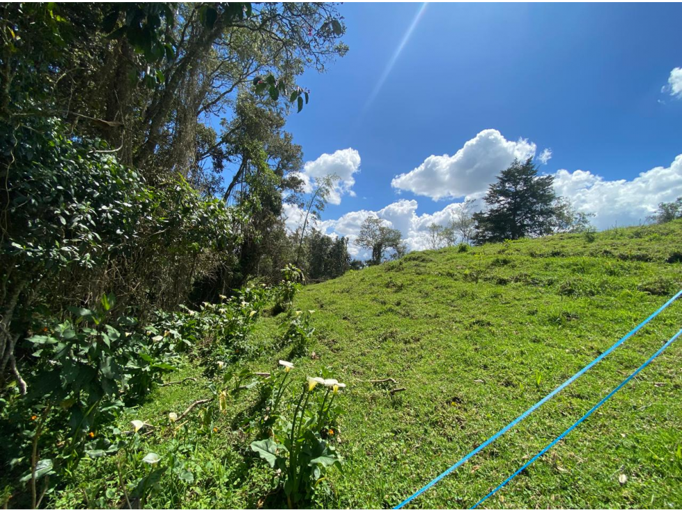 Lotes proindiviso con bosque y quebrada Perico-Santa Elena — foto 5
