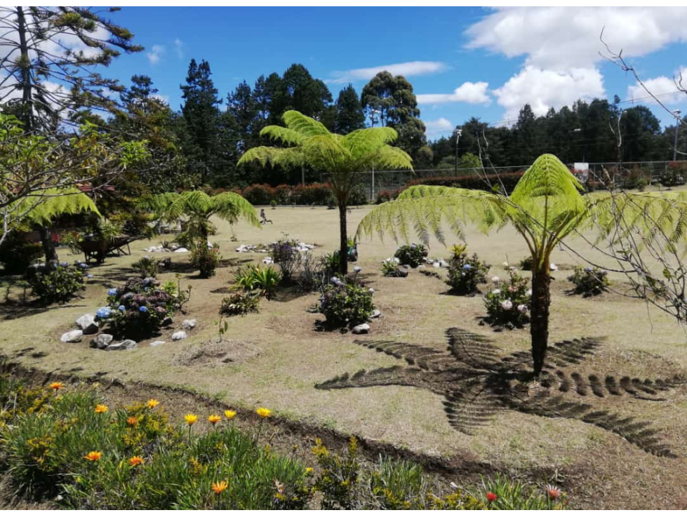 Vende Finca con amplia zona de parqueo-El Llano- Santa Elenea — foto 5