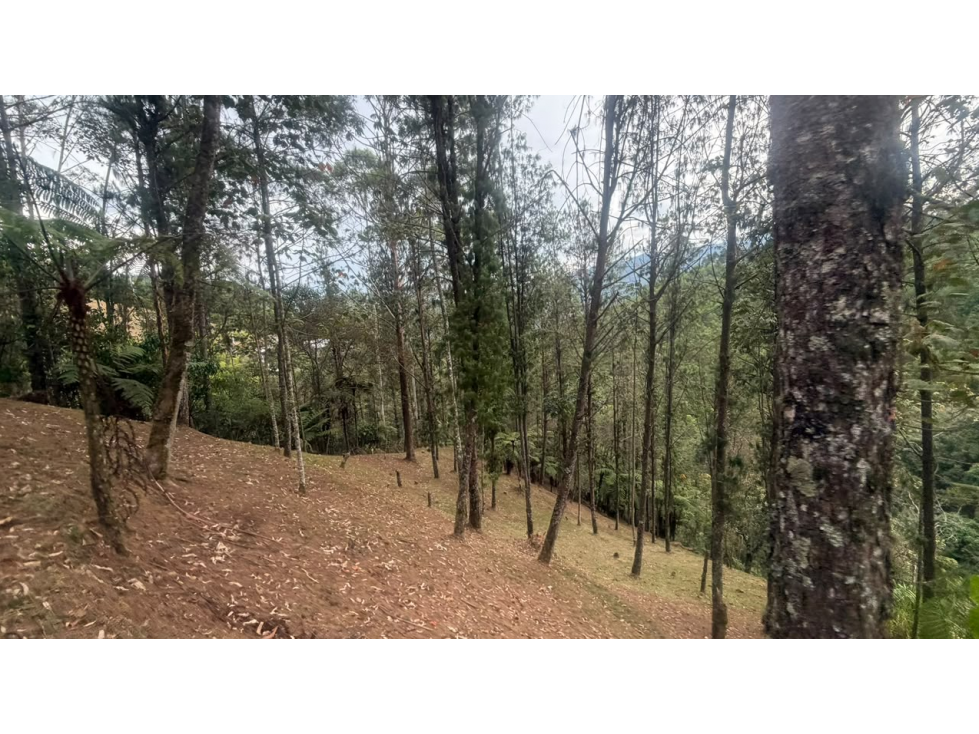 Lote con matricula independiente- Parcelacion Caldas-Medellin - 3