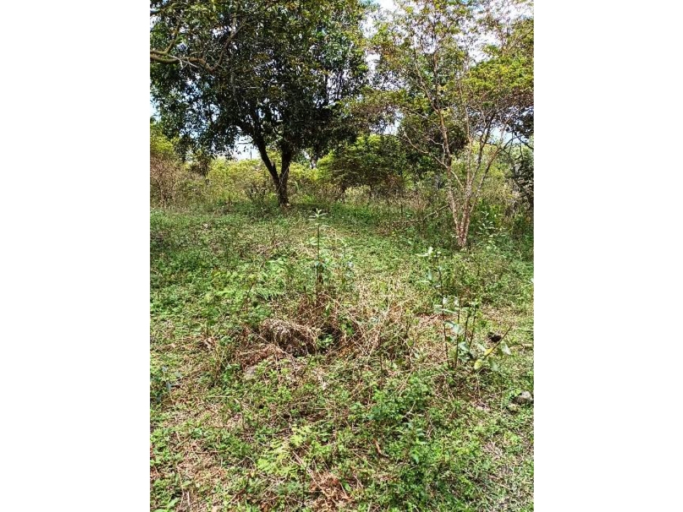 Lote posibilidad para 3 viviendas- Juan cojo Girardota — foto 6