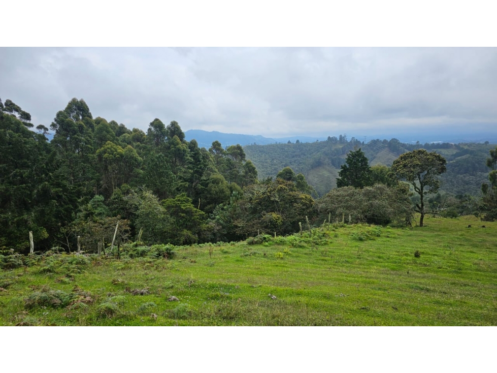 Lote semi plano en Parcelacion-La honda-Guarne — foto 6