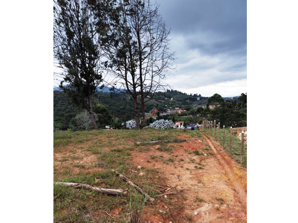 lote con escrituras en Guarne a 500 metros de la autopista MED-BOG — foto 6