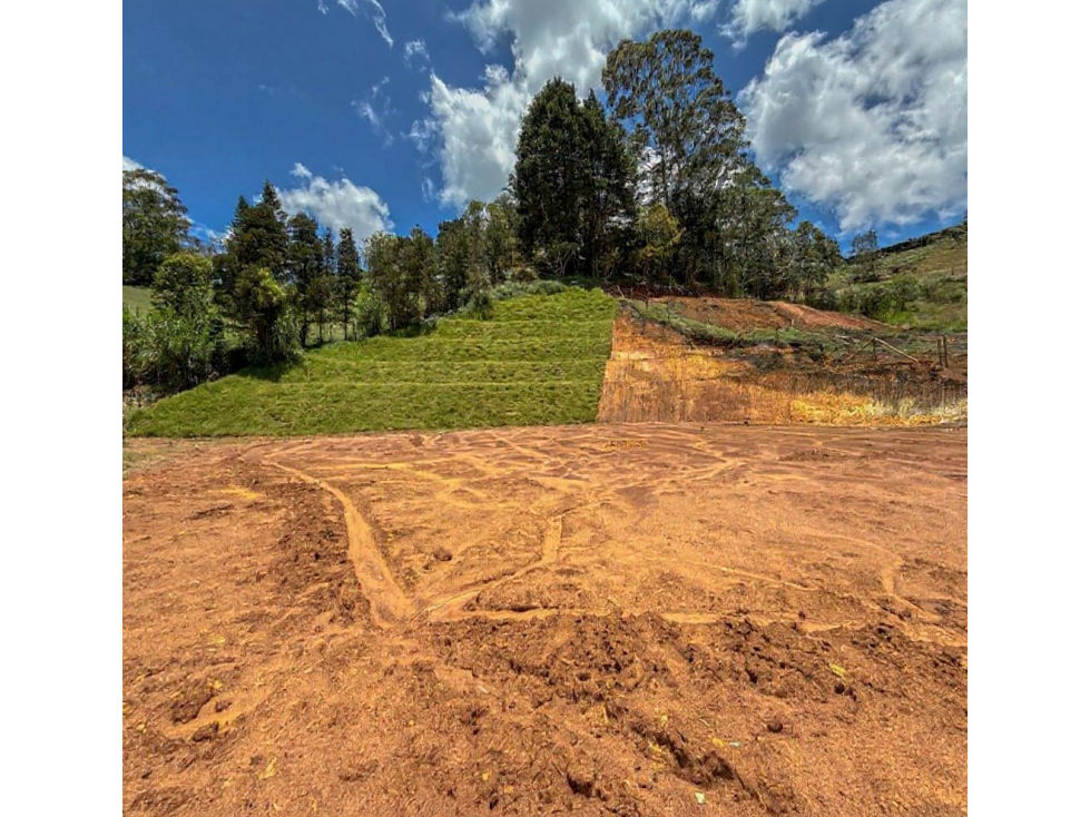 venta Lotes -Matricula independiente. Vereda La clara- Guarne — foto 6