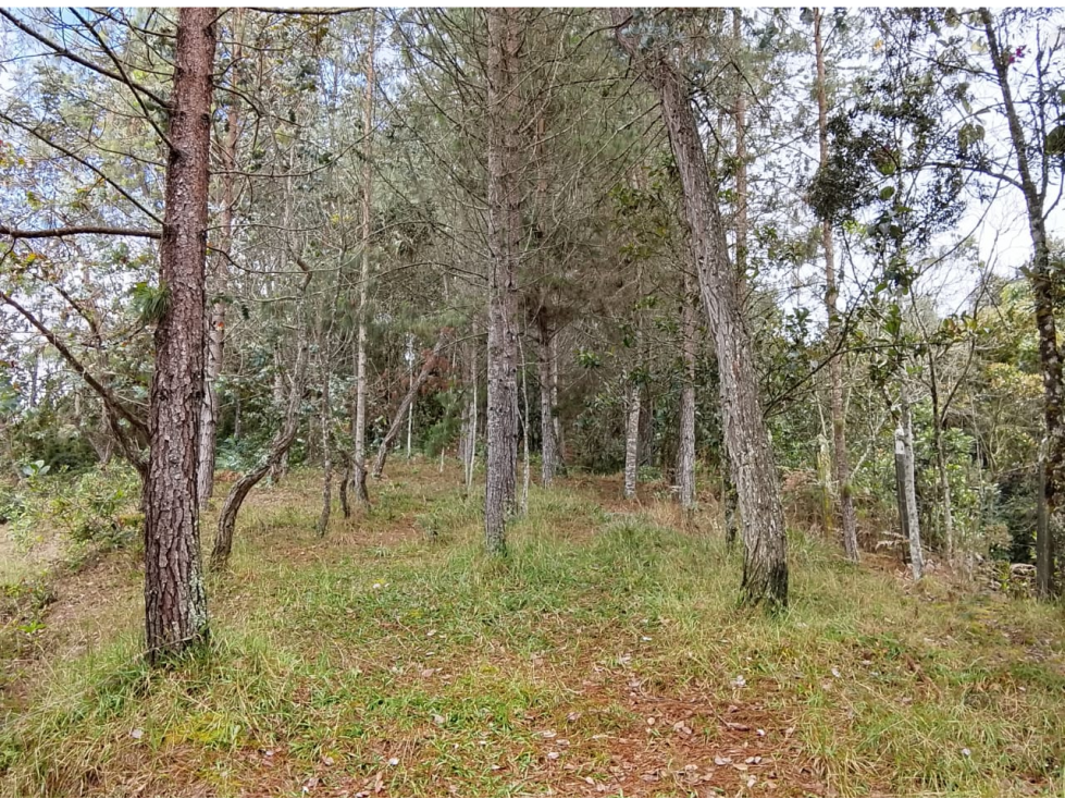 Vende Lote reservado con excelente acceso-La Palma-Santa elena — foto 6