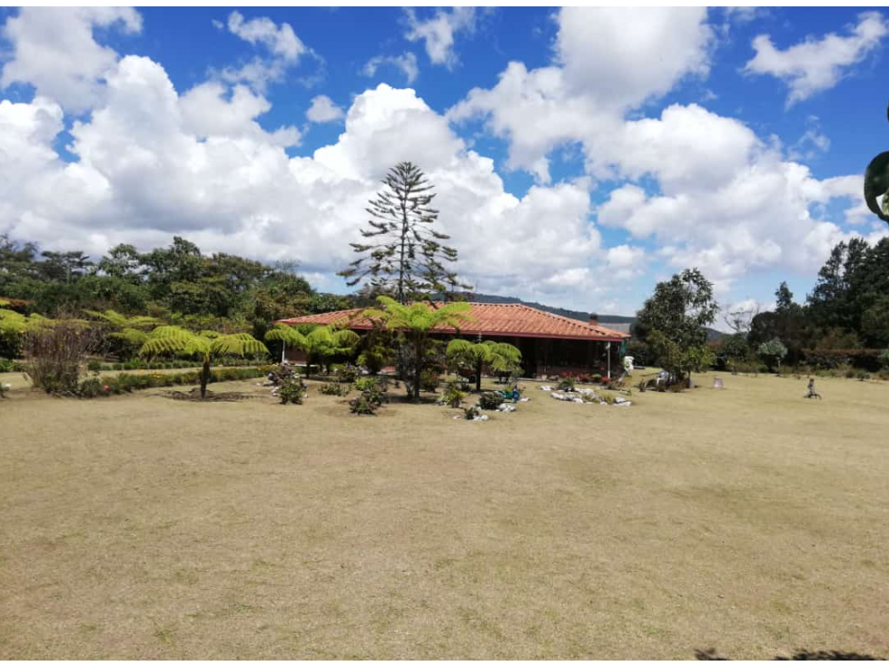 Vende Finca con amplia zona de parqueo-El Llano- Santa Elenea — foto 6