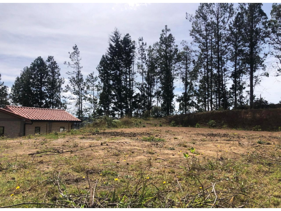 Vende Lote campestre matricula 100%- San isidro guarne — foto 6