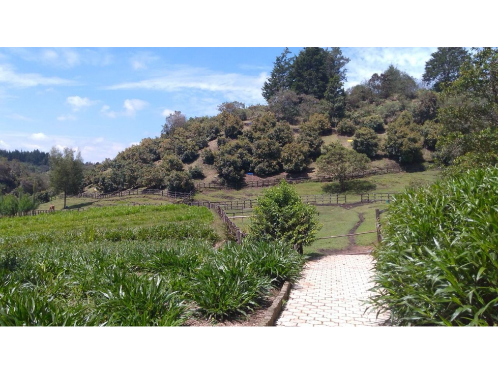 Finca con excelente acceso y Pesebreras- el Carmin-Rionegro — foto 3
