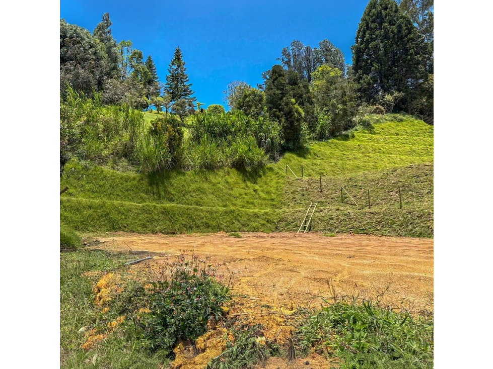 venta Lotes -Matricula independiente. Vereda La clara- Guarne