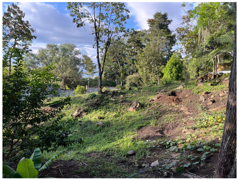 Lote Poblado Cola del Zorro- facil acceso a palmas — foto 2