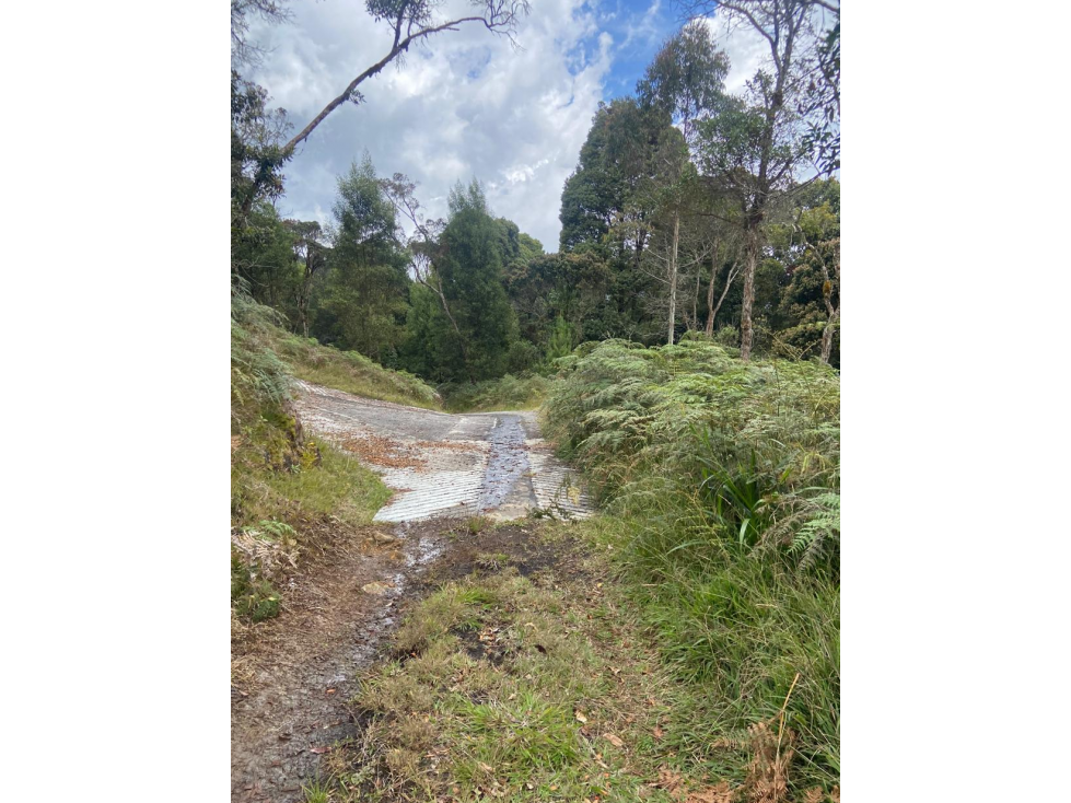 Lote con bosque nativo-matricula y licencia- El Plan -Sta Elena — foto 4