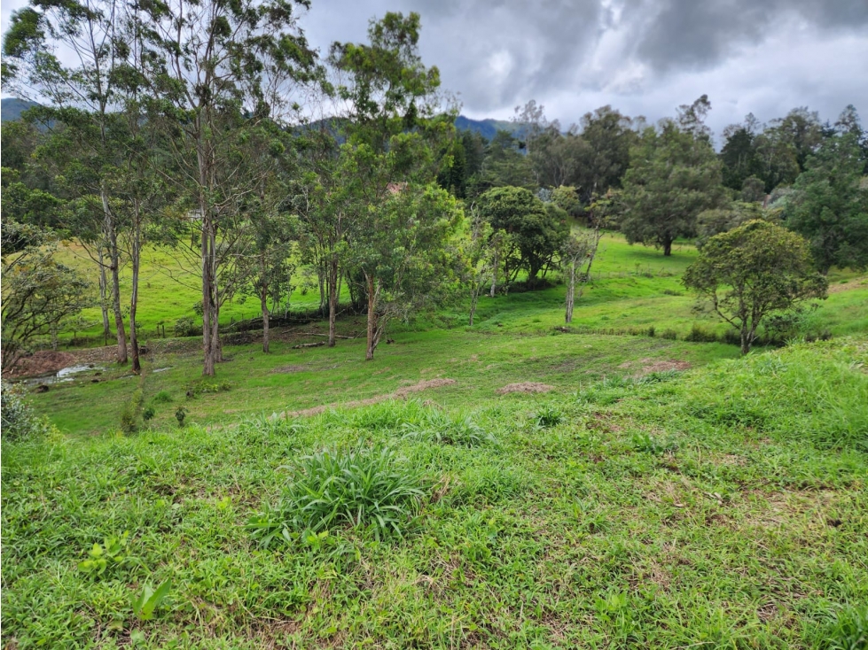 Hermoso Lote Campestre rodeado de naturaleza y tranquilidad