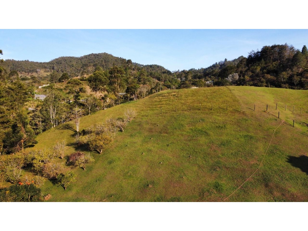 SE VENDE LOTE DE USO MIXTO EN KM 1 VEREDA DON DIEGO EL RETIRO — foto 4