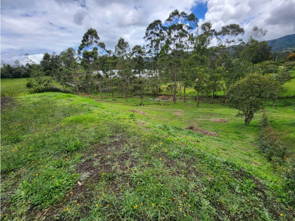 Hermoso Lote Campestre rodeado de naturaleza y tranquilidad — foto 2